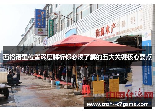 西格诺里位置深度解析你必须了解的五大关键核心要点