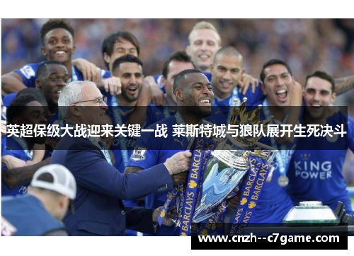 英超保级大战迎来关键一战 莱斯特城与狼队展开生死决斗